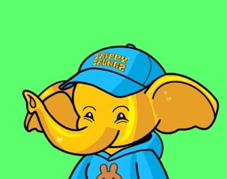 Trippy Trunkz Ivory Club (TTIC)