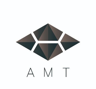 AMT Token (AMT)