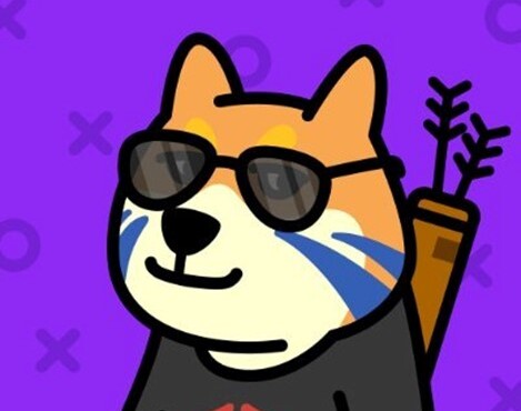 DogeVerseToken (DVT)