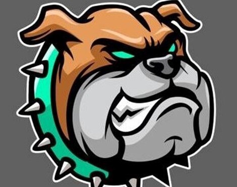 BullDoge Chain (wBDC)