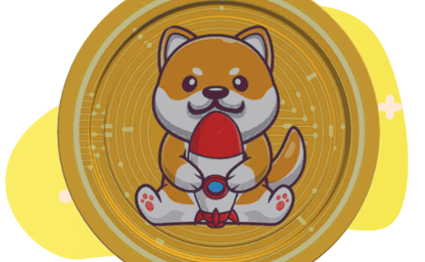 The Doge Moon (BNB)