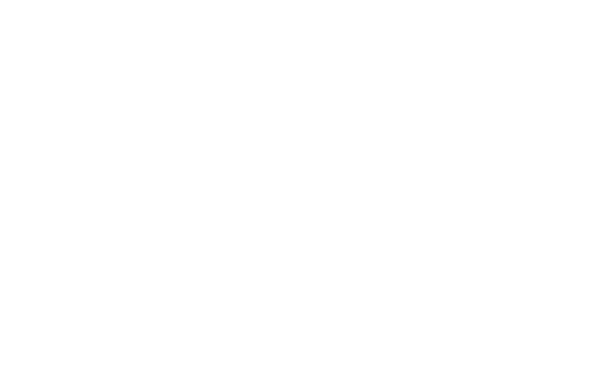 Renegade (RNG)