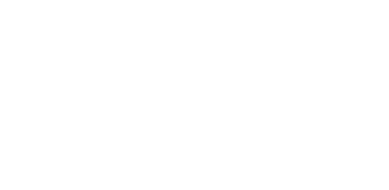 Renegade (RNG)