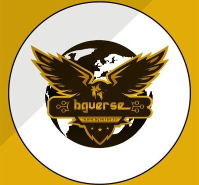 Bit Game Verse (BGV)